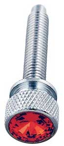 KENWORTH DASH SCREW RED JEWEL 2001-