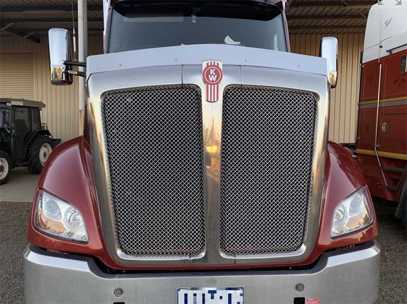 BUG DEFLECTOR KENWORTH T610 LOVE HART