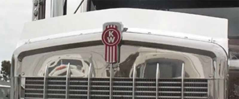BUG DEFLECTOR INSERT ONLY FOR T900 904