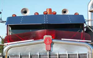STAINLESS SUNVISOR WITH 14INCH DROP K/W