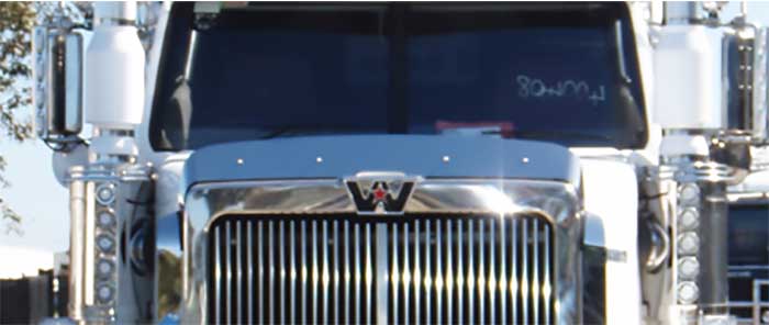 BUG DELECTOR STAINLESS WESTERN STAR