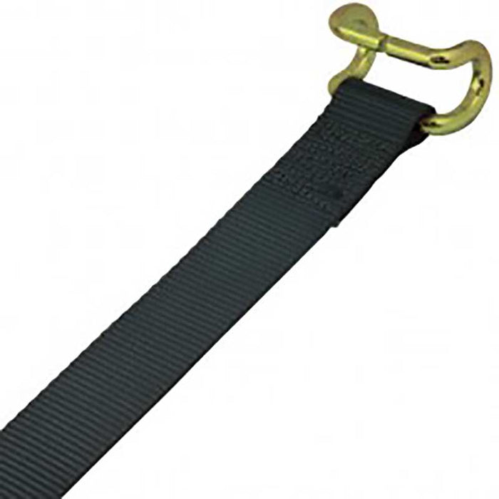 TAUTLINER STRAP WITH BENT RAIL HOOK