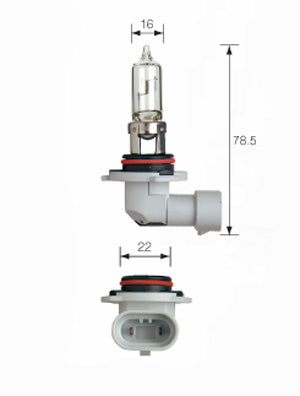 GLOBE HYB3 12V 60W X 1