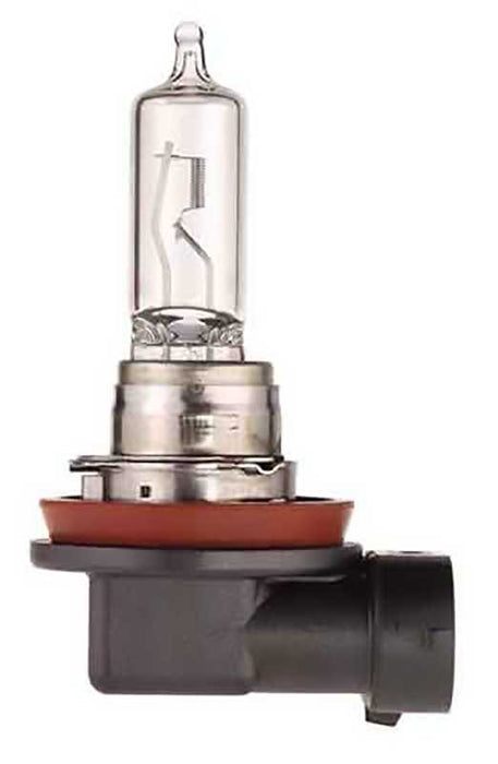 H11 24V 70W DAF AND ACTROS