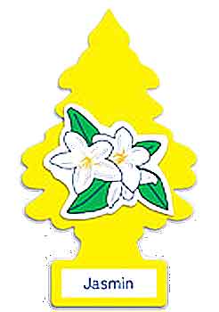 LITTLE TREE JASMIN